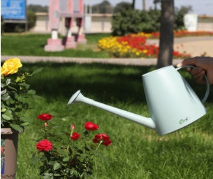 Home & Garden