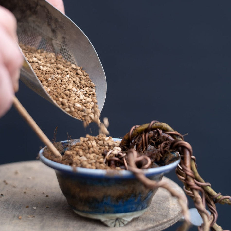 Soil, Amendments and Fertilizer
