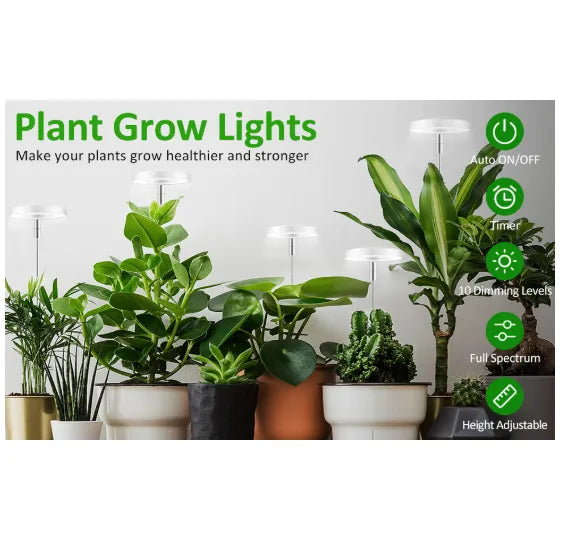 Plant Lighting