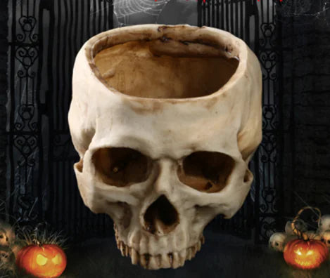 Skull-Shaped Resin Planter